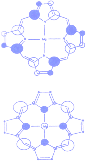 Highest occupied molecular orbitals in typical metal (Mg) porphyrin complex. The size of the circles are proportional to the square of the orbital coefficients of each atom.