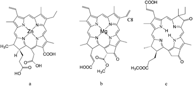 Structure of: Zn chlorin e6 (a); chlorophyll c2 (Chl–c2) (b); synthetic oxo-bacteriochlorin B1.