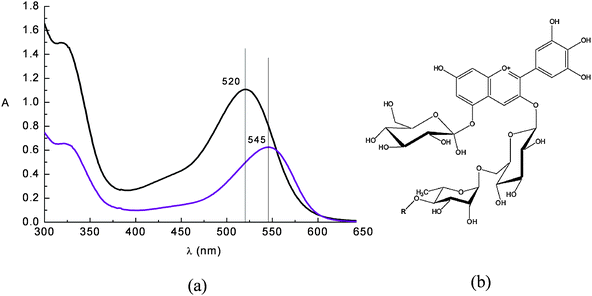 (a) Absorption spectrum of a raw eggplant extract in water solution at pH = 1 () and in ethanol solution (). Nasunin (b) is the main pigment contained in eggplant peels.