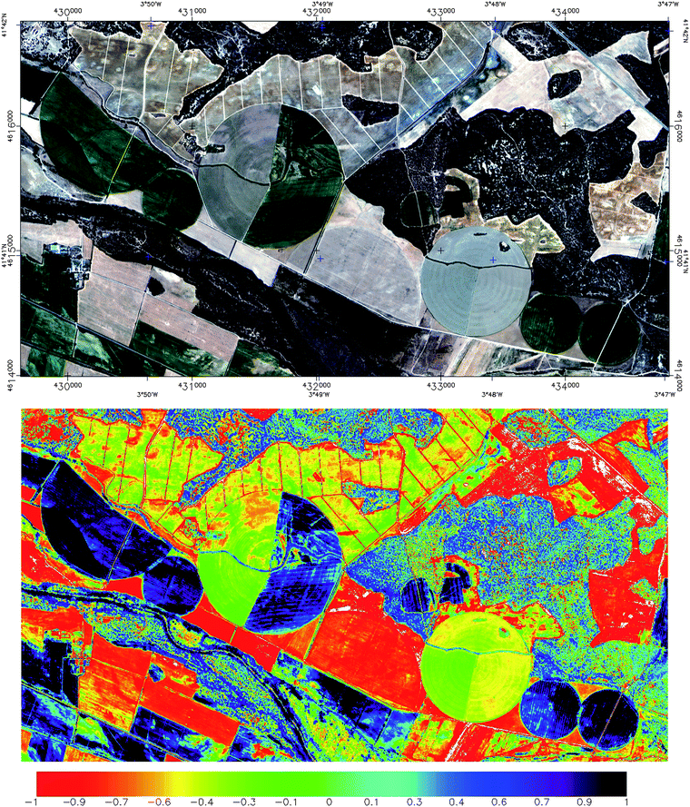 True colour (RGB combination) Ikonos satellite image (top) and NDVI (bottom). The spatial resolution is 1 meter (pan-sharpened using maximum entropy; see ref. 81). Differences in plant growth within the centre-pivot systems, individual trees, riparian vegetation and differences in biomass are clearly visible. Innermost geographical coordinates in the top image are UTM 30-N; units are in meters.