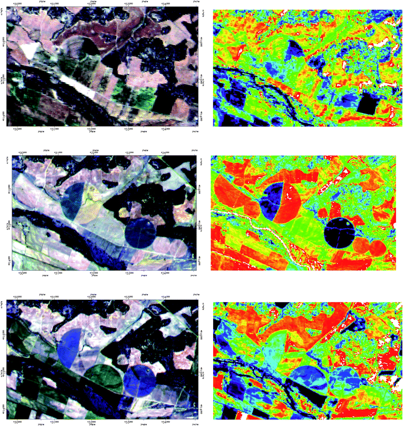 Same as Fig. 13 for Landsat-TM (30 m resolution, top), and two SPOT-HRV (20 m) images (middle and bottom). All the images are from different times of the year, so the phenological changes are noticeable. Colour scale for NDVI as forFig. 13.