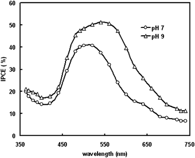 IPCE spectra of the DSSCs fabricated on ZnO electrode with pH 7 and pH 9.