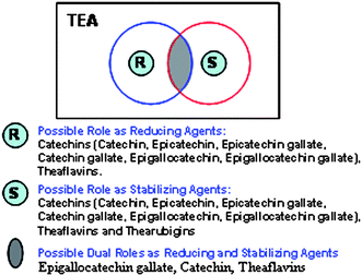 Venn diagram showing the possible role of phytochemicals in tea for the generation and stabilization of gold nanoparticles.