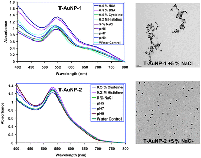 
            In vitro stability studies of T-AuNP-1 and T-AuNP-2: UV-visible absorption spectra and TEM images.