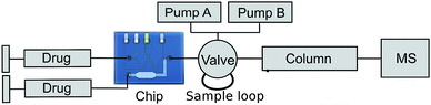 Setup used for the amodiaquine experiment (Electric connections and potentiostat not shown).