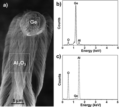 
            EDS analyses on Ge-catalyzed Al2O3nanowire bunch. (a) SEM image of a Ge-catalyzed Al2O3nanowire bunch. The dash-line squares represent the positions where the EDS spectra were taken. (b) EDS spectrum taken from the Ge catalyst particle. (c) EDS spectrum taken from the Al2O3nanowire bunch.