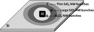 Schematic diagram of the growth regions of Ge-catalyzed Al2O3nanowires (NW) and SiO2nanowires formed on a Si substrate. Around the Al foil (5 mm by 5 mm), three concentric band regions were identified based on the composition and morphology of the products. The products in Region A (diameter: ∼10 mm), Region B (diameter: ∼18 mm) and Region C (diameter: ∼25 mm) are Al2O3nanowire bunches, spindle-like SiO2nanowire bunches and small SiO2nanowire bunches, respectively.