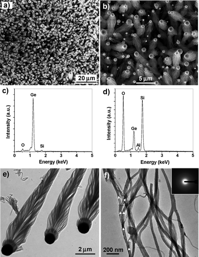 
            Electron microscope images and EDS spectra of Ge-catalyzed SiO2nanowire bunches grown in region B in Fig. 5. (a) Low-magnification and (b) high-magnification SEM images of dense spindle-like SiO2nanowire bunches. (c) EDS spectrum taken on Ge catalyst particle. (d) EDS spectrum recorded from SiO2nanowire bunch. (e) Low-magnification TEM image of three Ge-catalyzed SiO2nanowire bunches. (f) High-magnification TEM image of SiO2nanowires. The white arrow heads show the branching-growth trail. Inset, electron diffraction pattern of the amorphous SiO2nanowires.