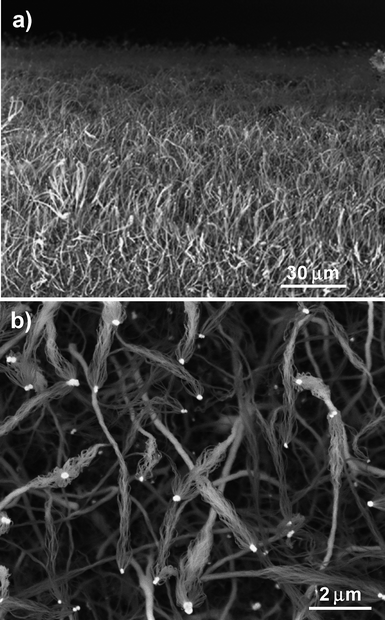 (a) Low-magnification and (b) high-magnification SEM images of Ge-catalyzed SiO2nanowire bunches grown in region C in Fig. 5.