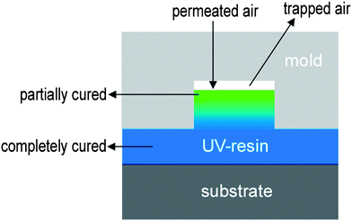 Schematic illustration of the UV light-induced partial curing induced by the trapped or permeated air.