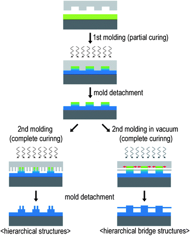 Schematic illustration of the fabrication of the micro/nanoscale combined hierarchical structures by using the two-step UV-assisted capillary force lithography (CFL). Polymer microstructures were formed by using a micropatterned mould followed by fabrication of nanostructures on top of the preformed microstructures by using a nanopatterned PUA mould. Under vacuum conditions, monolithic, suspended bridge structures can be fabricated.