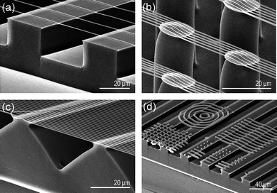 Tilted cross-sectional SEM images for various monolithic nanowire bridge structures of (a–c) nanolines and (d) meshes and concentric circles formed over each underlying microstructure.