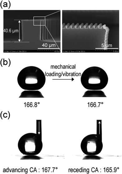 (a) A dual roughness structure with 300 nm lines (600 nm spacing, 300 nm height) over a 40 µm box pattern (80 µm spacing, 40 µm height). (b) Static contact angles on hierarchical structures before (left) and after (right) applying a mechanical loading or vibration. (c) Advancing and receding contact angles on hierarchical structures. Reprinted from ref. 32.