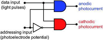 Electronic-equivalent circuit of a surface-modified titania photoelectrode working as a two-channel optoelectronic demultiplexer. Adapted from ref. 76.