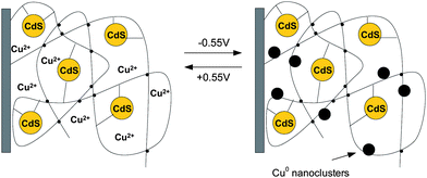 Electrochemical switching of the CdS–polymer film between the CdS–Cu2+–PAA and CdS–Cu0–PAA states. Adapted from ref. 112.