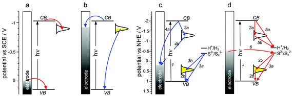 Scheme showing the predominant charge-transfer processes related to photoelectrochemical photocurrent switching of quantum dot photoelectrodes: PbS (a,b) and (PDDA/q-CdS)n (c, d). White and yellow Gaussian envelopes denote empty and occupied surface states, respectively. Adapted from refs. 125 and 126.