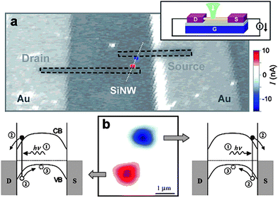 A scanning photocurrent image (color scale) overlaid on a confocal reflection image (grayscale) simultaneously taken at V = VG = 0 with a light intensity of 100 kW cm−2. The image size is 20 × 50 µm2. The direction of the positive current is indicated in the upper inset. Red (blue) corresponds to a positive (negative) current. In the reflection image, Ni electrodes (highlighted by dashed lines) are not visible because the light reflection from the Ni surface is weak at 532 nm (a). An enlarged photocurrent image from part (a) with energy-band diagrams describing the mechanism of the Schottky photocurrent generation (b). Reproduced from ref. 144 with permission. Copyright American Chemical Society 2005.