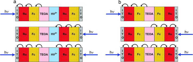 Film structures and pathways of photoinduced electron transfer for OR (a) and XOR (b) gel photodiode logic devices. Adapted from ref. 160.