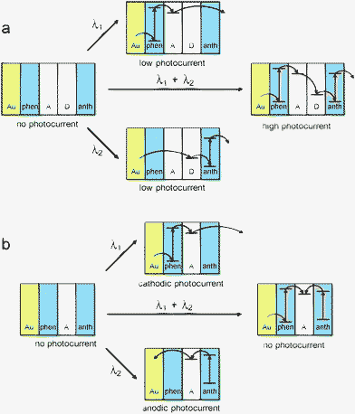 Mechanism of operation of the photoelectrochemical AND (a) and XOR (b) photoelectrochemical logic gates. (Au – gold substrate, phen – phenanthrene-doped polymer, A – acceptor polymer, D – donor polymer, anth – anthracene-doped polymer). Adapted from refs. 68 and 69 and reproduced from ref. 1 with permission. Copyright American Chemical Society 2008.