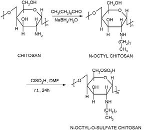 Synthesis of N-octyl-O-sulfate chitosan.