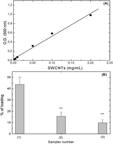 (A) SWCNTs calibration curve for the determination of the apparent absorption coefficient. E = 5.16 mL/mg/cm, R2 = 0.994. (B) Loading capacity of NOSC (5 mg/mL). UV absorbance was measured after 3 min centrifugation at 6000 rpm (1), after 30 min centrifugation at 10 0000 rpm (2) and after washing and resuspending the SWCNTs in water (3). Results are given as mean ± SD (n = 3). One-way Anova analysis of variance, p < 0.001; Tukey–Kramer multicomparison test, ***p < 0.001 compared to (1).