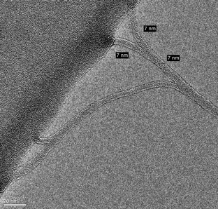 
            TEM image of SWCNTs after coating with NOSC polymer. Bar represents 20 nm.