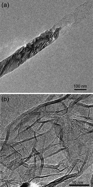 
          TEM images of a SiCnanowire converted partly to multi-walled CNT. (a) Low-magnification image and (b) a high-resolution image of the formed CNT. The interlayer distance of the CNT is about 3.5 Å.