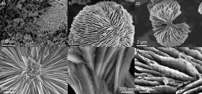 
          SEM images of CaAl4O7 particles. Overview image (a), single particles (b,c) and details (d,e: core region, f: surface).