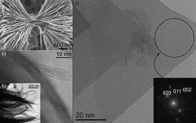 (a) SEM image of a secondary morphology found in CaAl4O7, with more narrow and wavy brunches as shown by TEM (b) and HRTEM (c). (d) HRTEM of CaAl4O7 platelets, the growth direction is the [001] as demonstrated by the power spectrum (inset) of the region marked with a circle. The zone axis is [100].