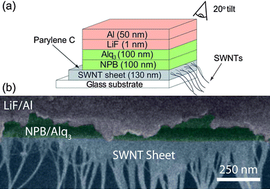 (a) Schematic of the SWNT OLED device and (b) corresponding cross-sectional SEM image at a broken edge taken at a 20° angle from the surface normal. Reproduced from ref. 85 with permission. Copyright 2006 American Institute of Physics.