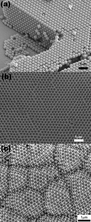 
          FESEM images of, (a) a cleaved colloidal crystal template formed from polystyrene spheres, and the top surfaces of an inverse (b) Cu film and (c) Ag film.