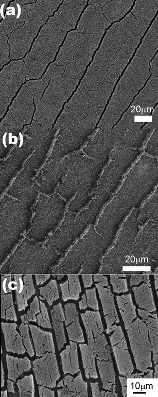 (a) SEM image of the original colloidal crystal template showing the drying cracks that form along the growth direction of the film. SEM images of the inverse (b) Ag and (c) Cu films. The drying cracks have been filled by electrodeposition in the Ag film and remain empty in the case of the Cu film.