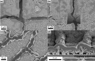 (a) Plan view and (b) cross-sectional images of the Cu film. It is clear that the cracks in the template have not been filled with Cu. (c) Plan view and (b) cross-sectional images of the Ag film showing that the cracks have been filled with electrodeposited Ag. Dark patches of contrast near the substrate in (d) are due to pores/voids that have formed as a result of electrodeposition of Ag.