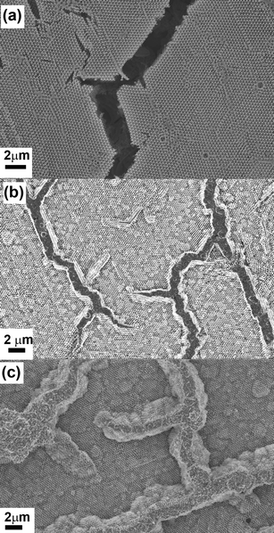 Plan view images showing (a) the empty cracks present in inverse Cu films prepared from an acidic CuSO4 solution, (b) cracks filled with Cu in the argon-purged electrodeposition experiment, (c) cracks “over-filled” with Cu in the complex ion experiment.