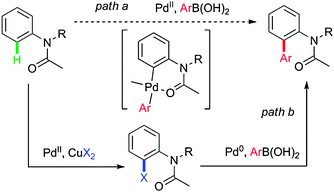 Design of a Suzuki–Miyaura coupling via C–H activation.