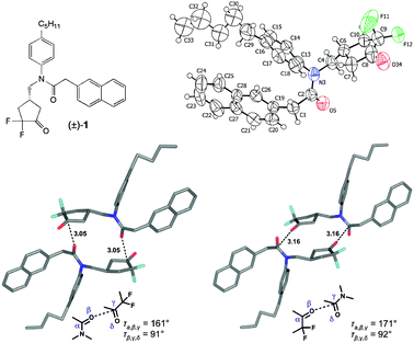 Top: The α,α-difluorocyclopentanone (±)-1 and its ORTEP representation. Thermal ellipsoids at 223 K are shown at the 50% probability level; for clarity only one position of the disordered pentyl group is shown. Bottom left: Type A dimer with (R2N)CO⋯C(CF2)O interactions between neighbouring molecules in the solid state. Bottom right: Type B dimer with C(CF2)O⋯(R2N)CO interactions between neighbouring molecules. Distances are given in Å. Colour code: C atoms, grey; O atoms, red; N atoms, blue; F atoms, light blue.