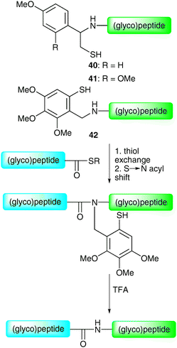 Structures and proposed mechanism of the 1-phenyl-2-mercaptoethyl auxiliaries 40 and 41 and 4,5,6-trimethoxy-2-mercaptobenzyl (Tmb) auxiliary 42.71,72