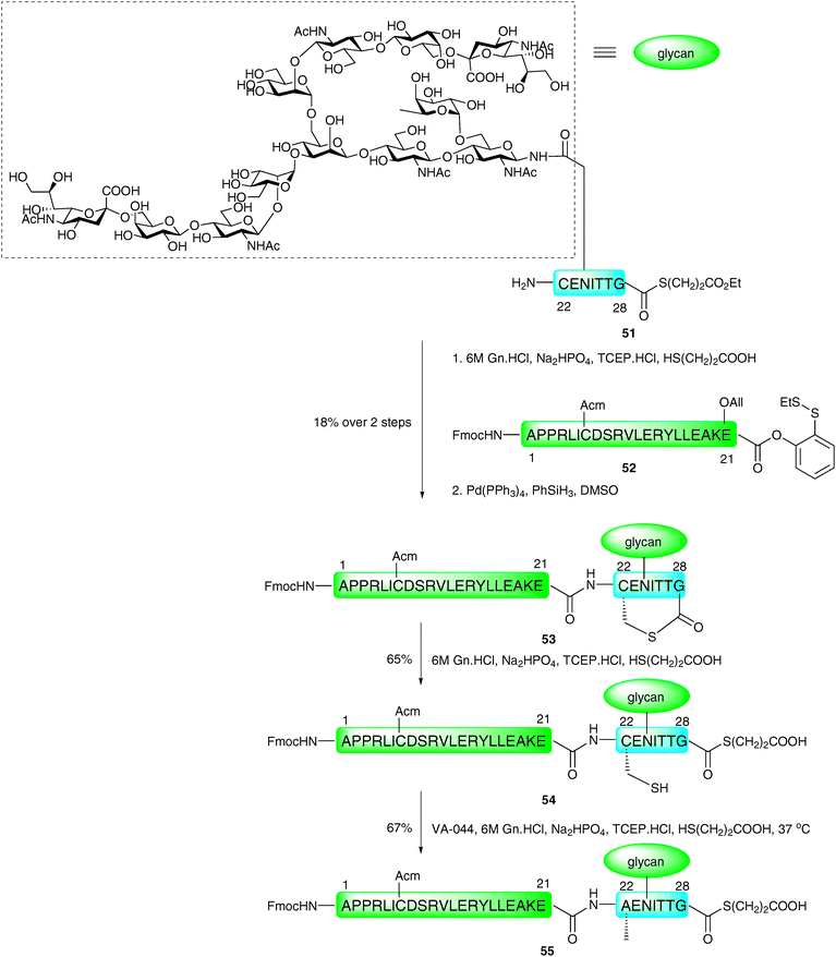 Synthesis of a complex N-linked glycopeptide fragment of erythropoietin (EPO1–28) by NCL followed by metal-free desulfurisation.92