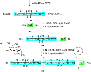 Synthesis of 23 kDa MUC2 tandem repeat glycoprotein via the silver-promoted “thioester method.”109