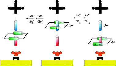 Schematic illustration of the reversible shuttling mechanism of surface bound rotaxane presented by Stoddart et al.18,19,59 Upon chemical oxidation the macrocycle shuttles to the upper position of the thread. In the second step, the acceptor unit on the thread is oxidized, generating an electrostatic repulsion that drives the macrocycle to the lower position.