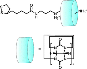 A surface confined pseudorotaxane can be used to modulate access of electroactive analyte to an electrode surface. Here it is shown in the “ON” position where access is restricted. In the “OFF” position (bare thread without the cucurbituril cap) Fe(CN)63− had unobstructed access to the electrode surface indicated by a significant increase in the Faradaic current.63