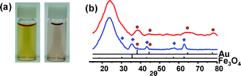 (a) Photographs and (b) XRD patterns of Fe3O4/Au@SiO2 (left photo, blue line) and Au@h-SiO2 (right photo, red line).