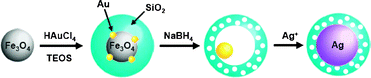 The syntheses of Fe3O4/Au@SiO2, Au@h-SiO2, and Ag@SiO2.