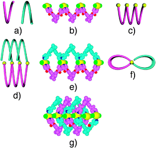 Schematic representation of the P (blue) and M (pink) helical configuration adopted by the tecton 1 (a), a portion of the helical strand generated upon bridging of consecutive tectons 1 by HgCl2 (b) and its schematic representation (c), schematic representation of helical strand bearing appended tectons 1 (d: perpendicular view and f: view along the helix axis), a portion of the structure (e) and a portion of the interwoven architecture (g). H atoms are omitted for clarity.