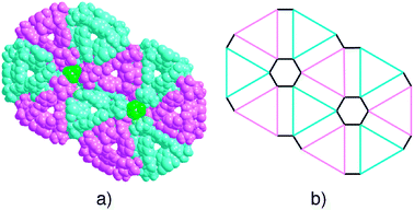 The cross section of the packing of 2·HgCl2 trigonal quadruple-stranded helices (a) and its schematic representation (b). For clarity, the P (blue) and M (pink) quadruple stranded helices are differentiated by colour. The Cl atoms of CHCl3 located at the centre of the hexagons are coloured in green.