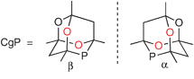 Enantiomeric forms of the CgP unit.