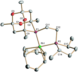 Thermal ellipsoid (50% probability) plot of the [Rh(Lb)(cod)]+ cation in 3b, omitting hydrogen atoms and the BF4− counter-anion. Selected geometrical data: bond lengths [Å] Rh1–P1 2.2989(11), Rh1–P2 2.2705(13), P1–C2 1.882(5), P1–C9 1.876(4), P1–C11 1.839(5), P2–C12 1.823(5), P2–C14 1.873(5), P2–C17 1.854(5), C11–C12 1.530(7); angles [°] P1–Rh1–P2 83.01(4), C2–P1–C9 93.9(2), C14–P2–C17 95.1(2); torsion angle [°] P1–C11–C12–P2 −47.9(4).