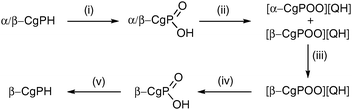 
          Reagents and conditions (yields): (i) H2O2 in MeOH (97%); (ii) quinine in boiling toluene (98%); (iii) 7× recrystallisations from boiling toluene (81% total recovery); (iv) extraction of CH2Cl2 solution with 2 M aqueous NaOH and then acidification with 12 M HCl (72%); (v) LiAlH4 in Et2O (17%).