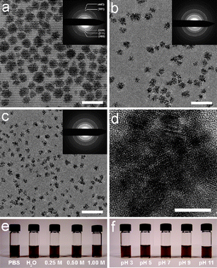 (a–c) TEM images of (a) 42 nm, (b) 30 nm and (c) 19 nm Fe3O4 NFs. Insets are electron diffraction patterns. Scale bar: 100 nm. (d) High resolution TEM image of 30 nm Fe3O4 NFs. Scale bar: 10 nm. (e–f) Colloidal stability tests of 30 nm Fe3O4 NFs (e) in PBS and NaCl solutions, and (f) in several pH.