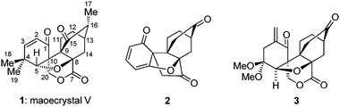 Structures of maoecrystal V (1) and functionalized core structures 2 and 3.